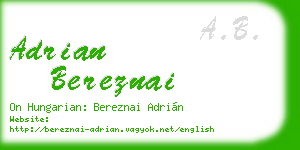 adrian bereznai business card